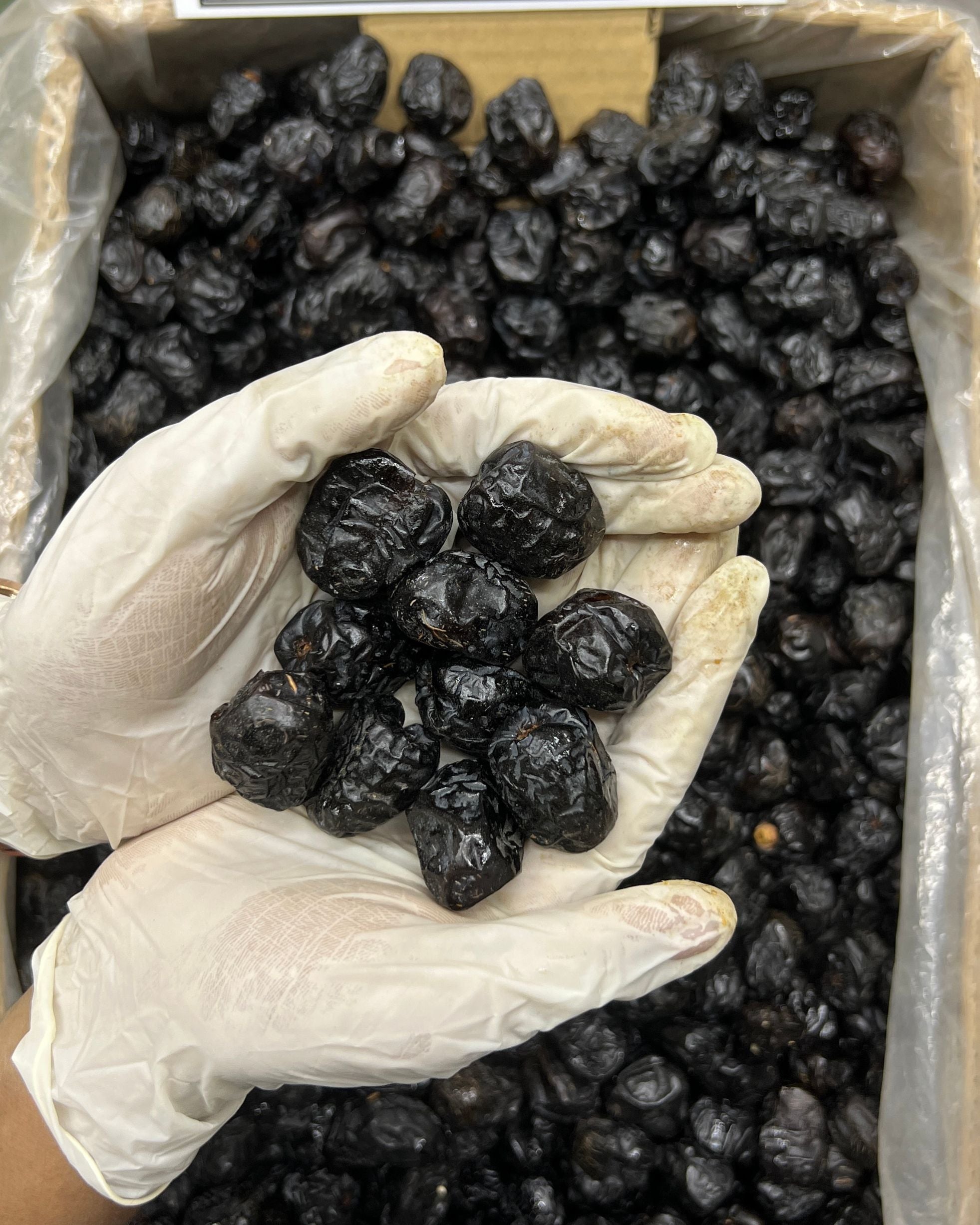 Ajwa Medium 10kg Box