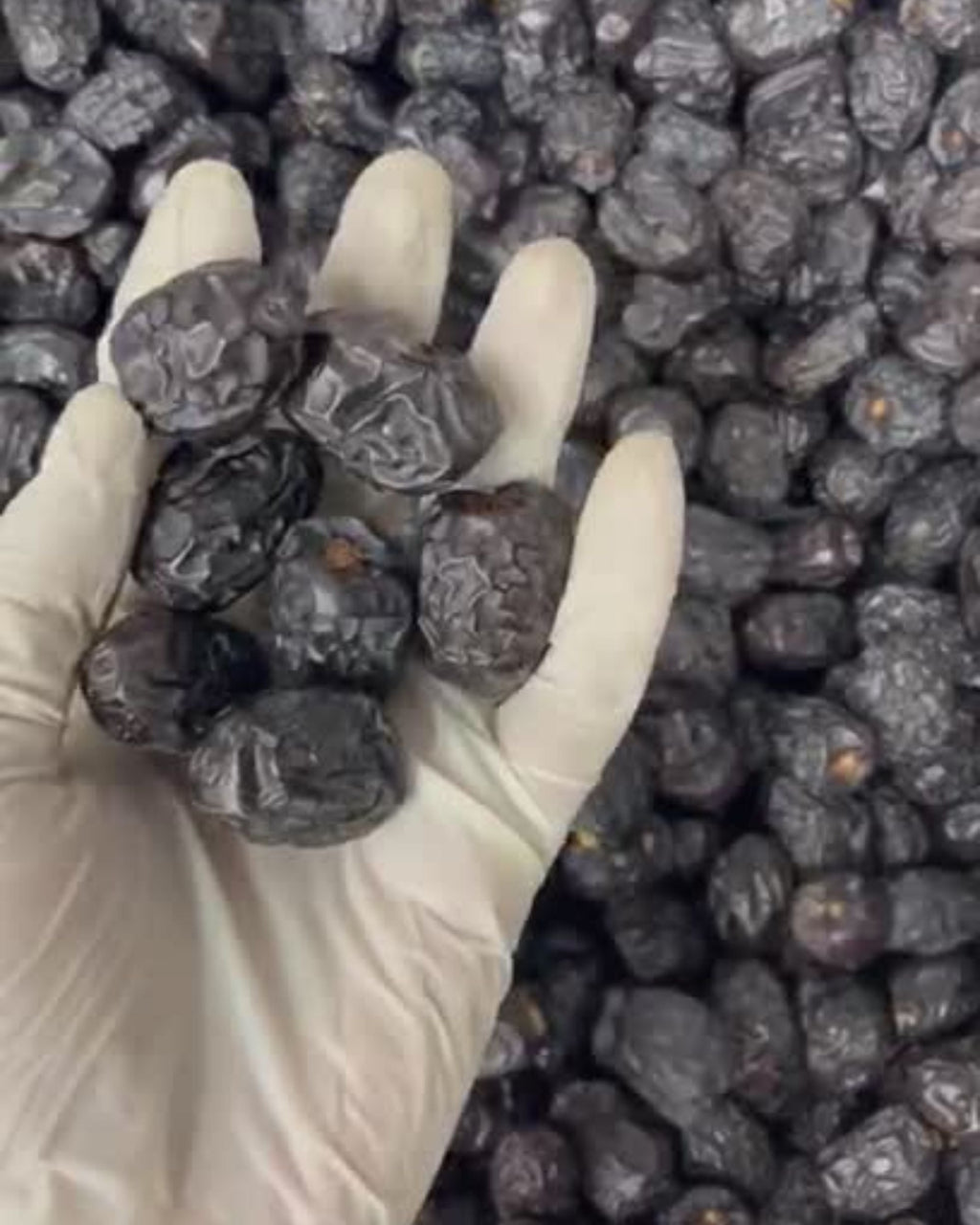 Ajwa Medium 10kg Box