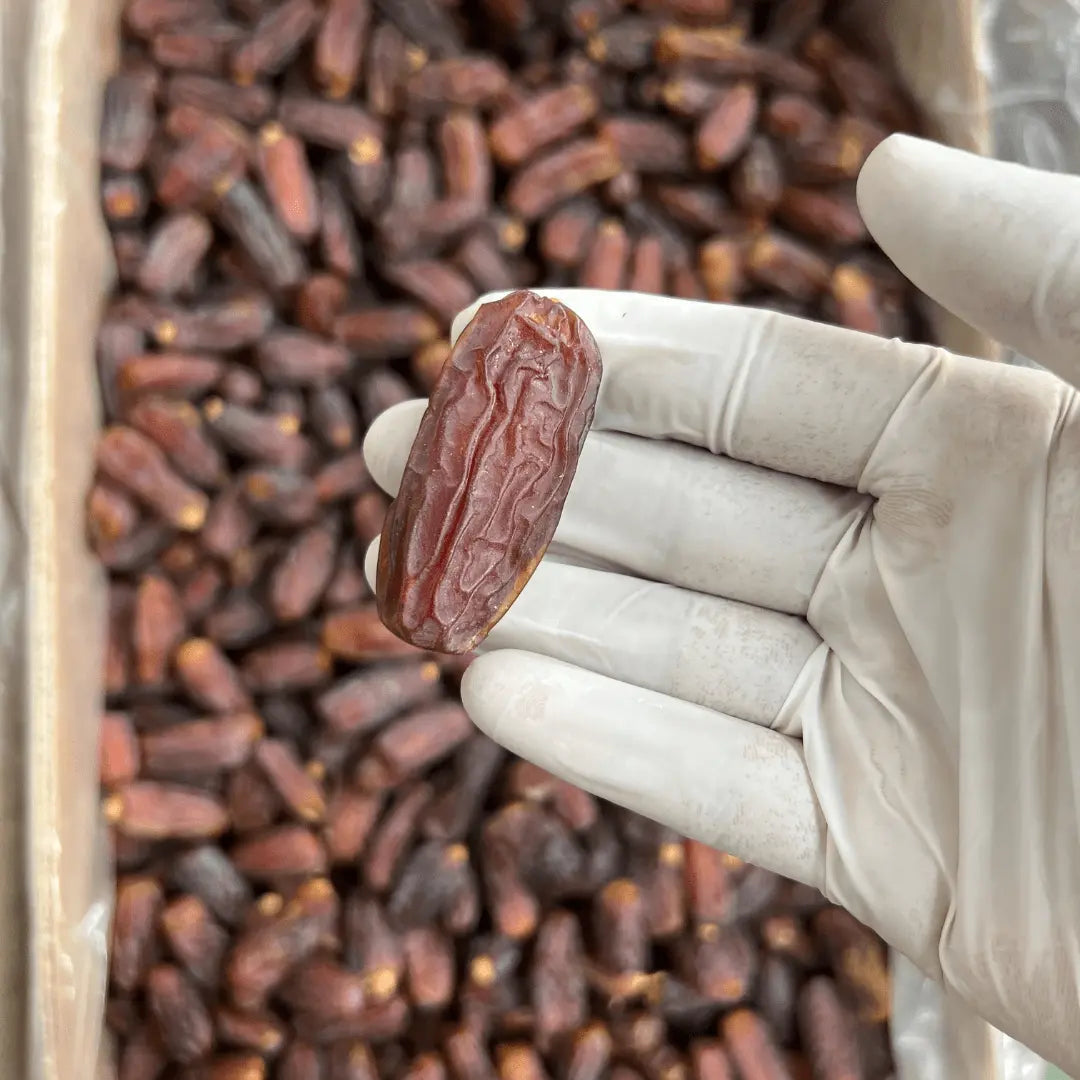 Size and freshness of mabroom Jumbo Khajoor